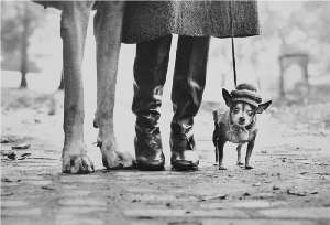 Elliott erwitt