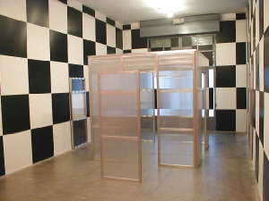 Daniel Buren