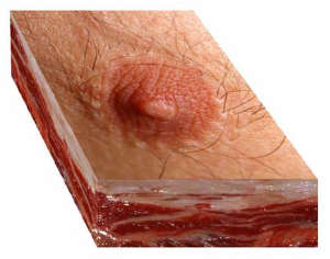 Robert Gligorov - Disaster Theory