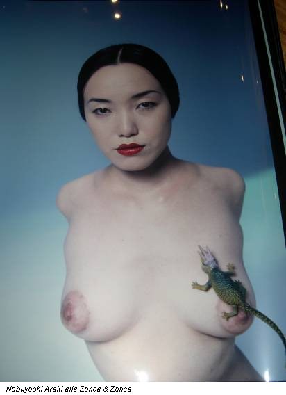 Nobuyoshi Araki alla Zonca & Zonca