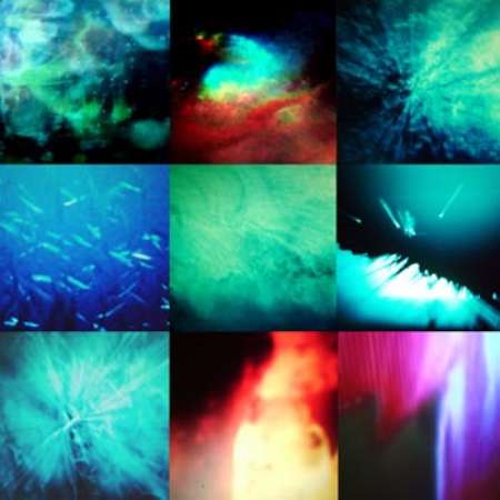 piemonte share festival