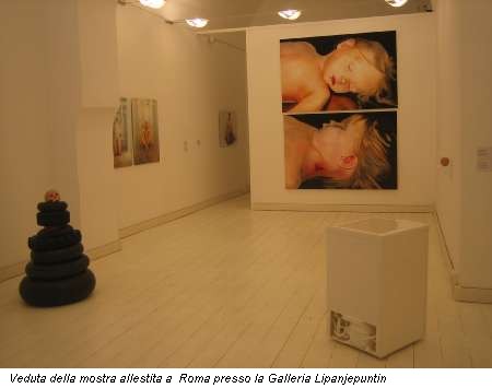 Veduta della mostra allestita a Roma presso la Galleria Lipanjepuntin