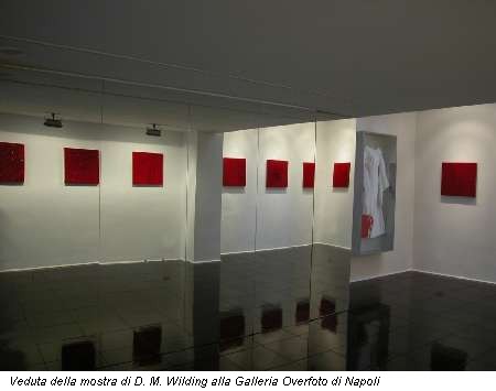 Veduta della mostra di D. M. Wilding alla Galleria Overfoto di Napoli