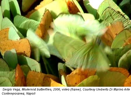 Sergio Vega, Modernist butterflies, 2006, video (frame), Courtesy Umberto Di Marino Arte Contemporanea, Napoli