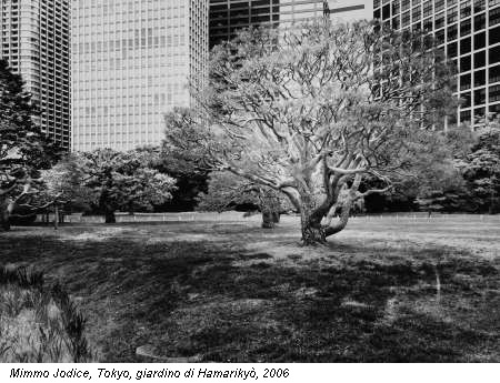 Mimmo Jodice, Tokyo, giardino di Hamariky�, 2006