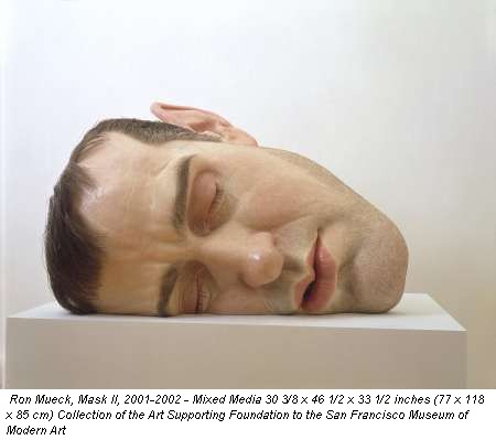 Ron Mueck, Mask II, 2001-2002 - Mixed Media 30 3/8 x 46 1/2 x 33 1/2 inches (77 x 118 x 85 cm) Collection of the Art Supporting Foundation to the San Francisco Museum of Modern Art