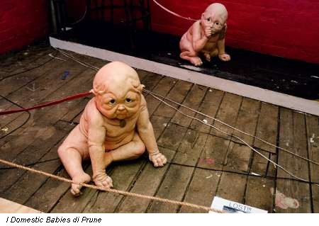 I Domestic Babies di Prune