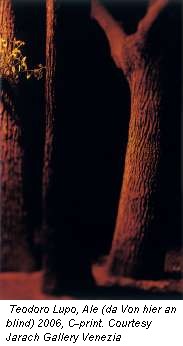 Teodoro Lupo, Ale (da Von hier an blind) 2006, C-print. Courtesy Jarach Gallery Venezia