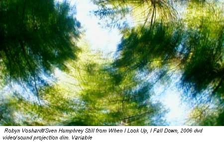 Robyn Voshardt/Sven Humphrey Still from When I Look Up, I Fall Down, 2006 dvd video/sound projection dim. Variable