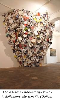 Alicia Martin - Inbreeding - 2007 - installazione site specific (Galica)