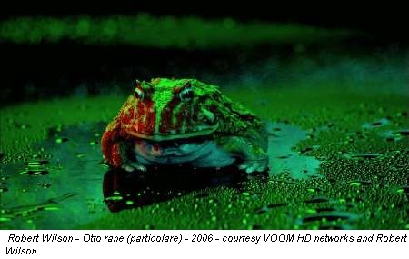 Robert Wilson - Otto rane (particolare) - 2006 - courtesy VOOM HD networks and Robert Wilson