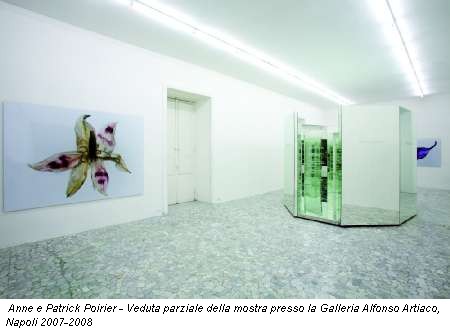 Anne e Patrick Poirier - Veduta parziale della mostra presso la Galleria Alfonso Artiaco, Napoli 2007-2008