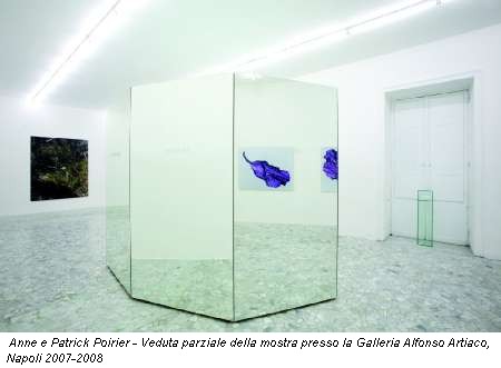 Anne e Patrick Poirier - Veduta parziale della mostra presso la Galleria Alfonso Artiaco, Napoli 2007-2008