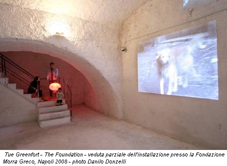 Tue Greenfort - The Foundation - veduta parziale dell'installazione presso la Fondazione Morra Greco, Napoli 2008 - photo Danilo Donzelli