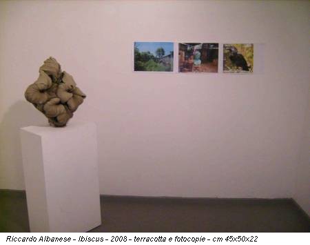 Riccardo Albanese - Ibiscus - 2008 - terracotta e fotocopie - cm 45x50x22
