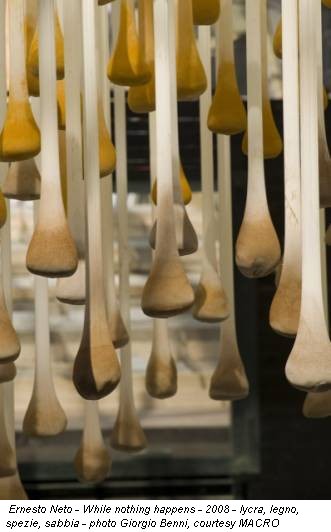Ernesto Neto - While nothing happens - 2008 - lycra, legno, spezie, sabbia - photo Giorgio Benni, courtesy MACRO