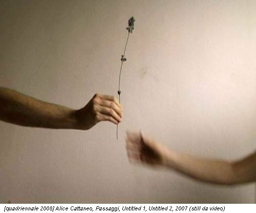[quadriennale 2008] Alice Cattaneo, Passaggi, Untitled 1, Untitled 2, 2007 (still da video)