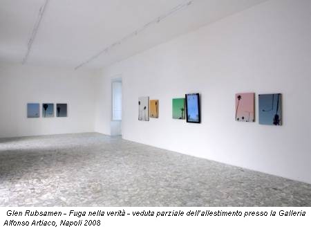 Glen Rubsamen - Fuga nella verit - veduta parziale dellallestimento presso la Galleria Alfonso Artiaco, Napoli 2008