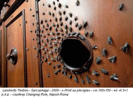 Lamberto Teotino - Sarcophaga - 2009 - c-Print su plexiglas - cm 100x150 - ed. di 3+1 p.d.a. - courtesy Changing Role, Napoli-Roma