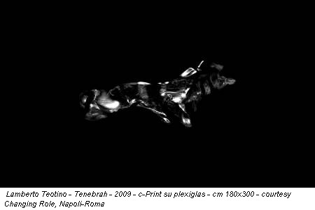 Lamberto Teotino - Tenebrah - 2009 - c-Print su plexiglas - cm 180x300 - courtesy Changing Role, Napoli-Roma