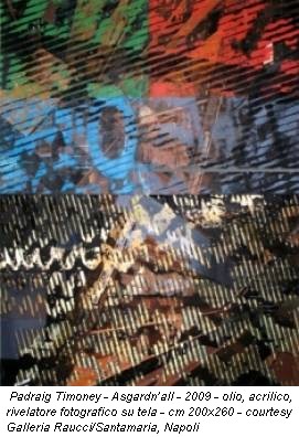 Padraig Timoney - Asgardn’all - 2009 - olio, acrilico, rivelatore fotografico su tela - cm 200x260 - courtesy Galleria Raucci/Santamaria, Napoli