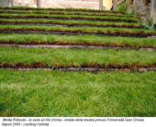 Melita Rotondo - Io sono un filo d’erba - veduta della mostra presso l’Università Suor Orsola, Napoli 2009 - courtesy l’artista