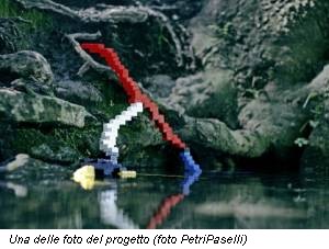 Una delle foto del progetto (foto PetriPaselli)