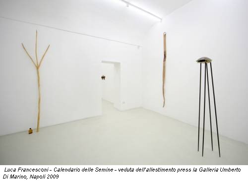 Luca Francesconi - Calendario delle Semine - veduta dellallestimento press la Galleria Umberto Di Marino, Napoli 2009