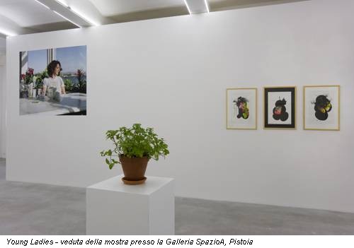 Young Ladies - veduta della mostra presso la Galleria SpazioA, Pistoia