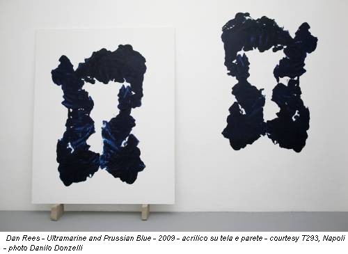 Dan Rees - Ultramarine and Prussian Blue - 2009 - acrilico su tela e parete - courtesy T293, Napoli - photo Danilo Donzelli