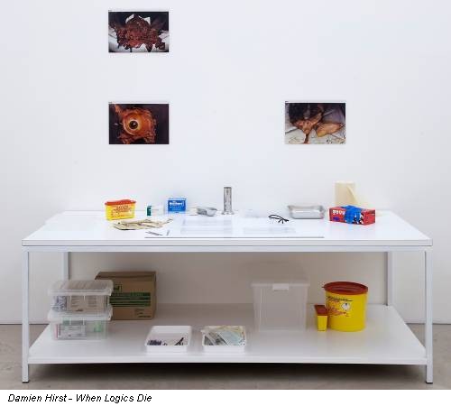 Damien Hirst - When Logics Die