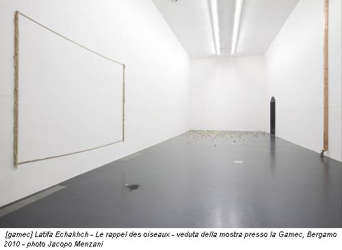 [gamec] Latifa Echakhch - Le rappel des oiseaux - veduta della mostra presso la Gamec, Bergamo 2010 - photo Jacopo Menzani