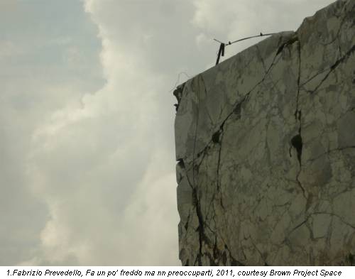 1. Fabrizio Prevedello, Fa un po� freddo ma nn preoccuparti, 2011, courtesy Brown Project Space