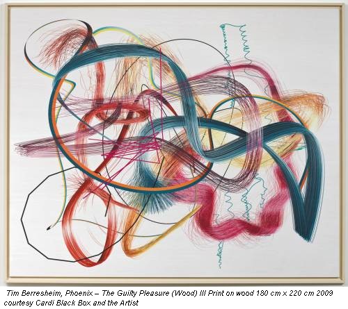 Tim Berresheim, Phoenix � The Guilty Pleasure (Wood) III Print on wood 180 cm x 220 cm 2009 courtesy Cardi Black Box and the Artist