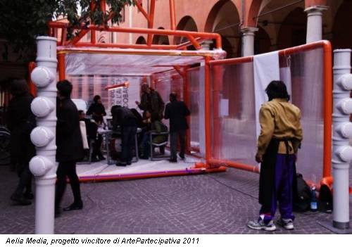 Aelia Media, progetto vincitore di ArtePartecipativa 2011