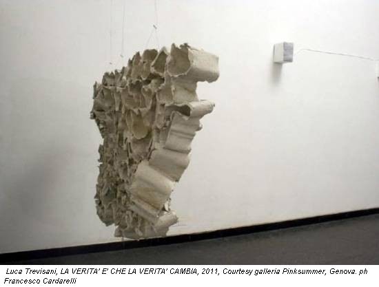 Luca Trevisani, LA VERITA' E' CHE LA VERITA' CAMBIA, 2011, Courtesy galleria Pinksummer, Genova. ph Francesco Cardarelli