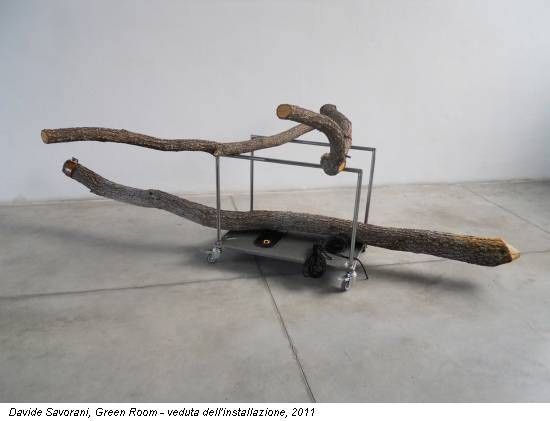 Davide Savorani, Green Room - veduta dell'installazione, 2011