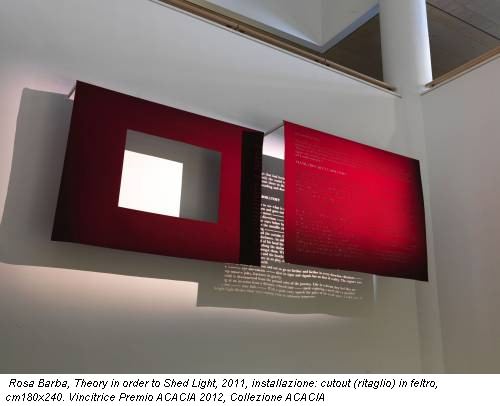 Rosa Barba, Theory in order to Shed Light, 2011, installazione: cutout (ritaglio) in feltro, cm180x240. Vincitrice Premio ACACIA 2012, Collezione ACACIA