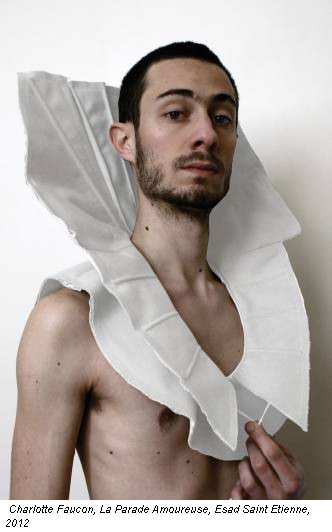 Charlotte Faucon, La Parade Amoureuse, Esad Saint Etienne, 2012
