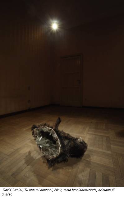 David Casini, Tu non mi conosci, 2012, testa tassidermizzata, cristallo di quarzo