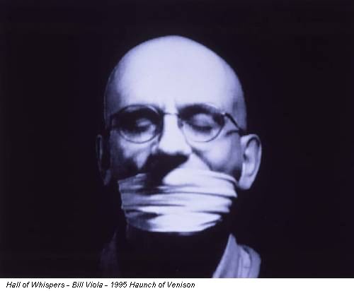 Hall of Whispers - Bill Viola - 1995 Haunch of Venison