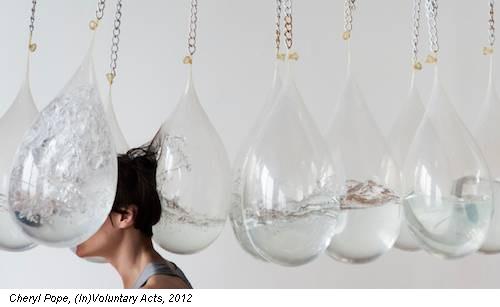 Cheryl Pope, (In)Voluntary Acts, 2012