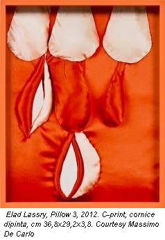 Elad Lassry, Pillow 3, 2012. C-print, cornice dipinta, cm 36,8x29,2x3,8. Courtesy Massimo De Carlo