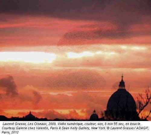 Laurent Grasso, Les Oiseaux, 2008. Vid&eacute;o num&eacute;rique, couleur, son, 8 min 55 sec, en boucle. Courtesy Galerie chez Valentin, Paris & Sean Kelly Gallery, New York. &copy; Laurent Grasso / ADAGP, Paris, 2012