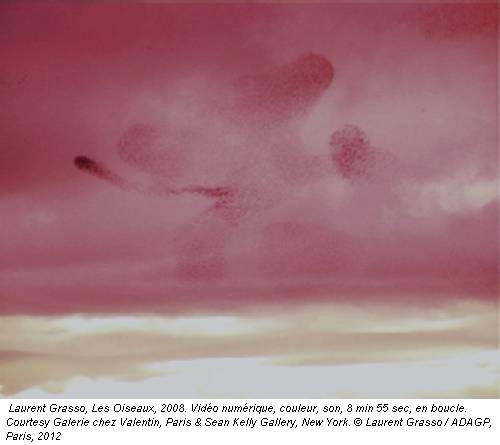Laurent Grasso, Les Oiseaux, 2008. Vid&eacute;o num&eacute;rique, couleur, son, 8 min 55 sec, en boucle. Courtesy Galerie chez Valentin, Paris & Sean Kelly Gallery, New York. &copy; Laurent Grasso / ADAGP, Paris, 2012