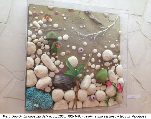 Piero Gilardi, La rinascita del cocco, 2000, 100x100cm, poliuretano espanso + teca in plexiglass