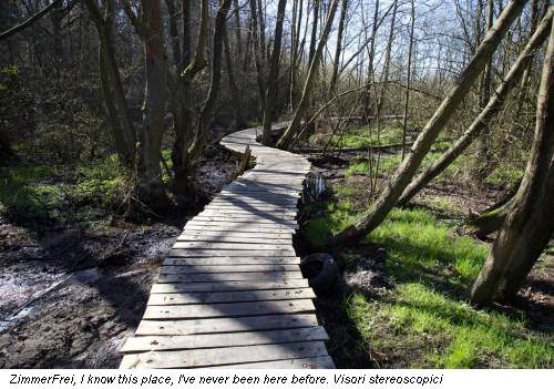 ZimmerFrei, I know this place, I've never been here before. Visori stereoscopici