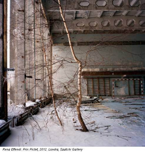 Rena Effendi. Prix Pictet, 2012. Londra, Saatchi Gallery