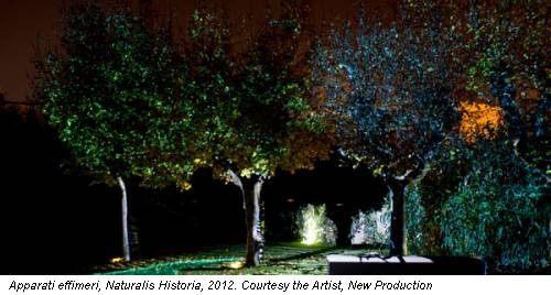 Apparati effimeri, Naturalis Historia, 2012. Courtesy the Artist, New Production