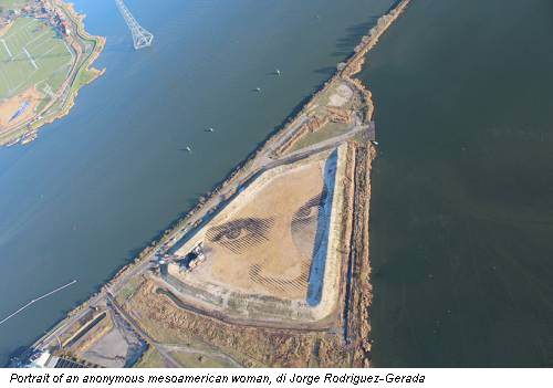 Portrait of an anonymous mesoamerican woman, di Jorge Rodriguez-Gerada